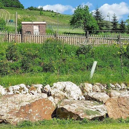 Huettenflair-Mosel Ferienwohnung Enkirch Buitenkant foto