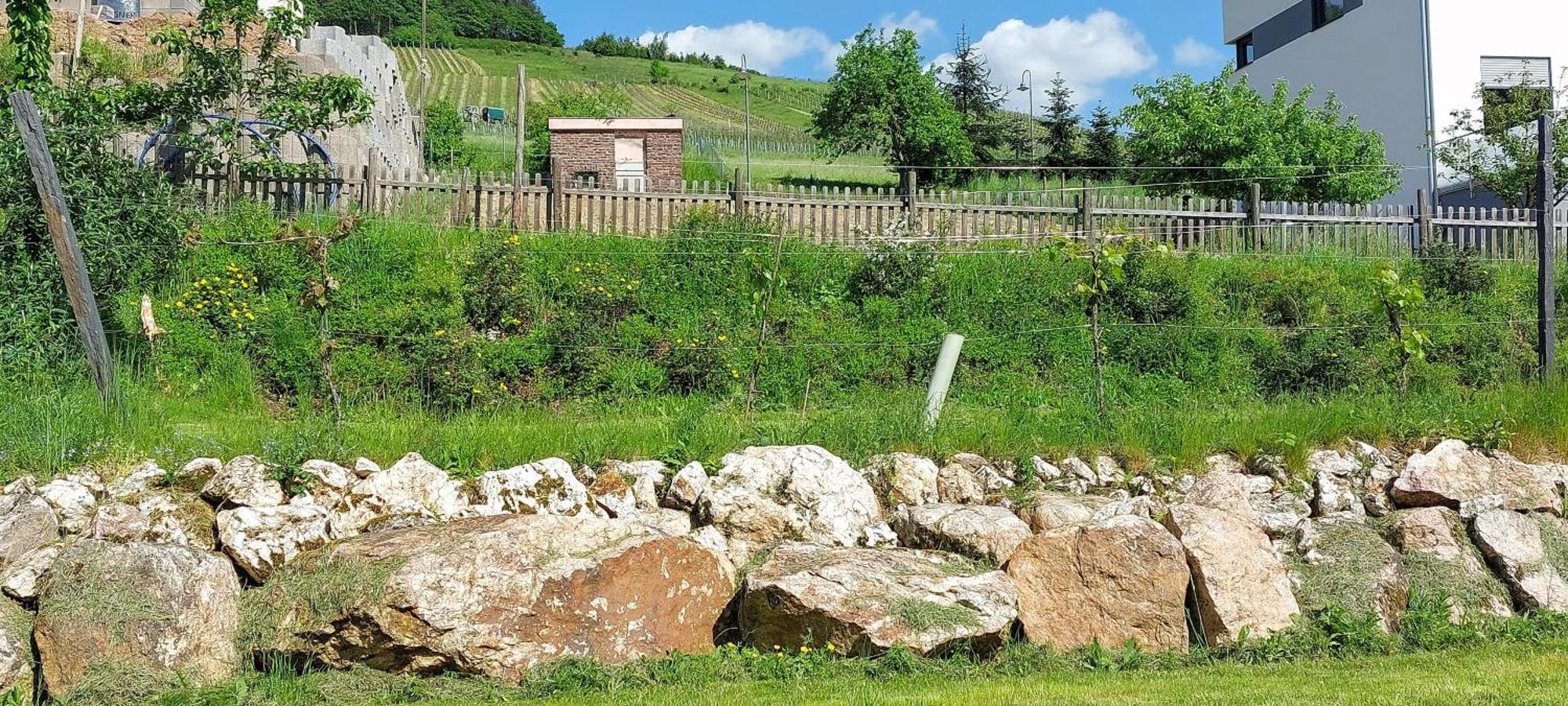 Huettenflair-Mosel Ferienwohnung Enkirch Buitenkant foto